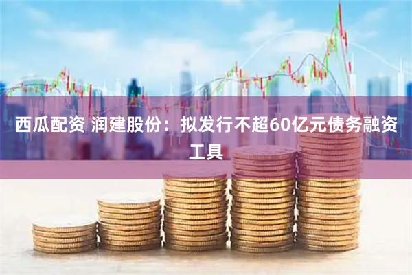 西瓜配资 润建股份：拟发行不超60亿元债务融资工具