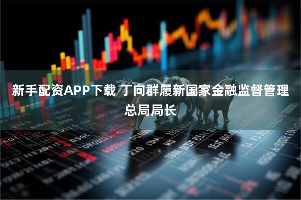 新手配资APP下载 丁向群履新国家金融监督管理总局局长